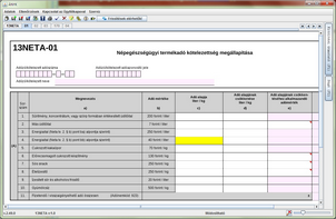 13NETA nyomtatvány