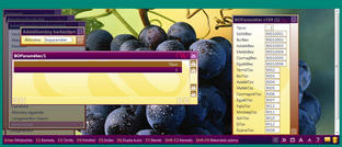 BOParaméter állomány feltöltése
